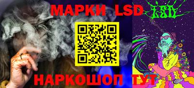 гашик Новозыбков