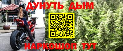 гашик Новозыбков