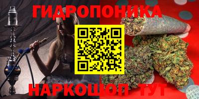 трава Новокубанск