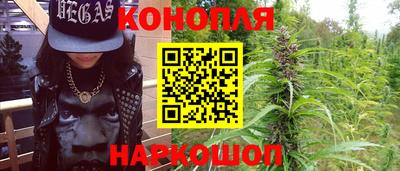 гашик Новозыбков