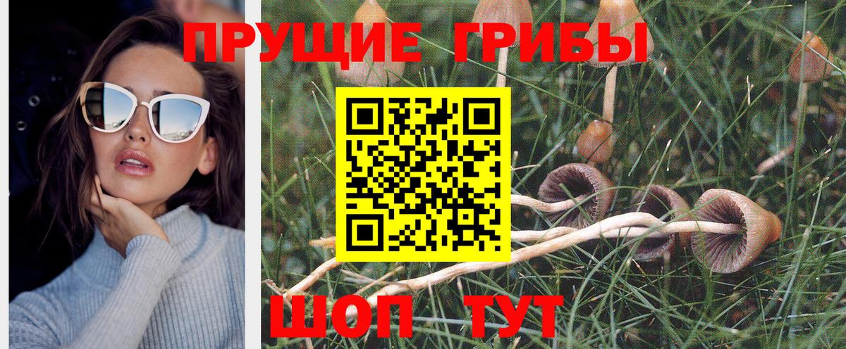 Псилоцибиновые грибы мухоморы Архангельск