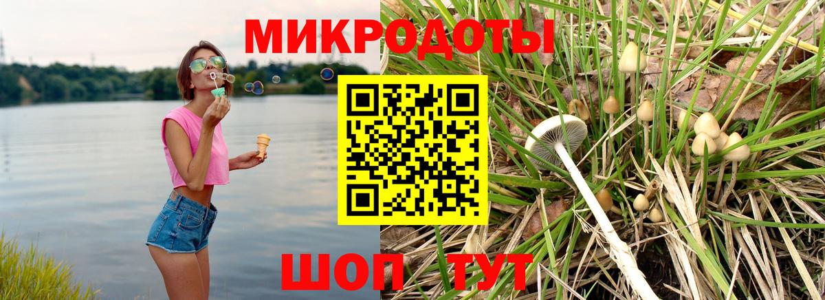 Галлюциногенные грибы GOLDEN TEACHER  Вход с VPN  Архангельск  Галлюциногенные грибы Cubensis 